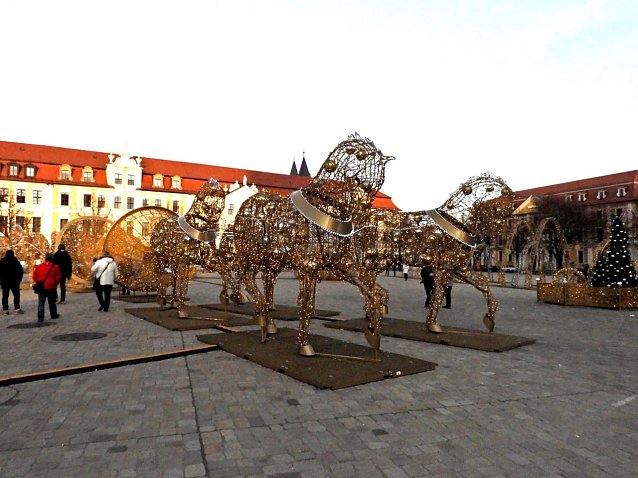 Bild: Installation vor dem Magdeburger Dom