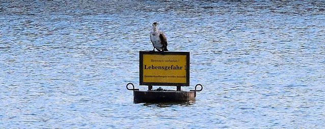 Bild: Kiesschacht