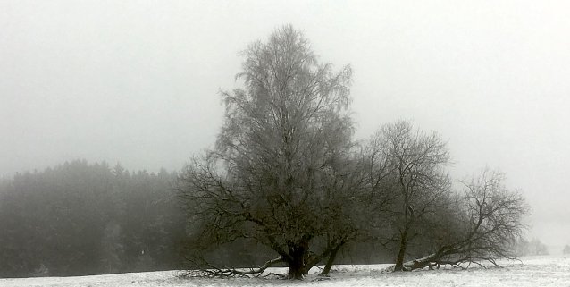 Bild: wetter