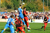 Bild: junge Bachstelzen