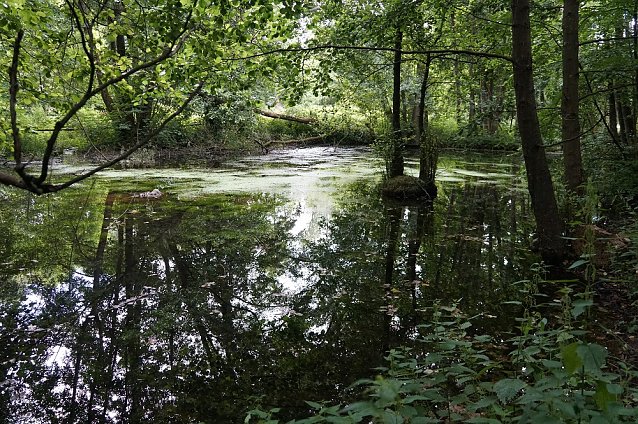 Bild: Tanzteich am M&uuml;hlberg