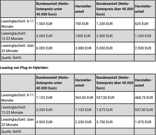 Bild: Leasing von Batterieelektro- oder Brennstoffzellenfahrzeugen