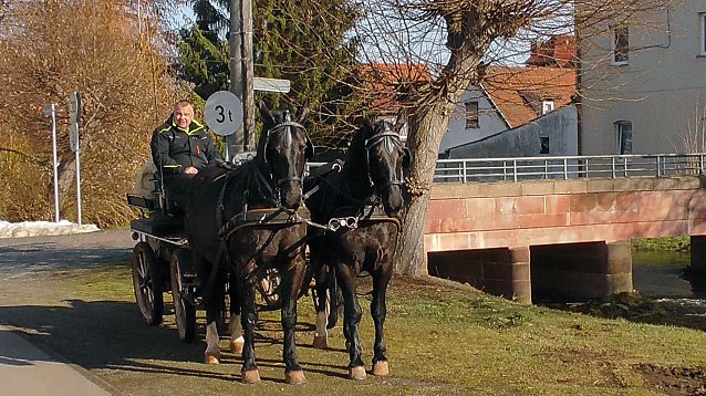 Bild: Sven Koch mit Gespann 