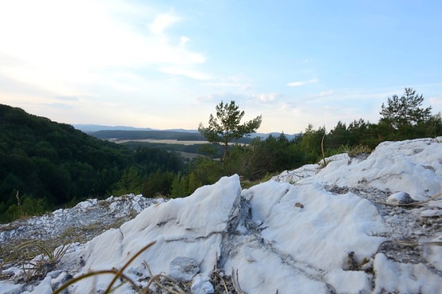 Bild: Fotowettbewerb des Landschaftspflegeverbands S&uuml;dharz-Kyffh&auml;user