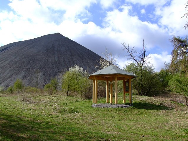 Bild: Hohe Linde