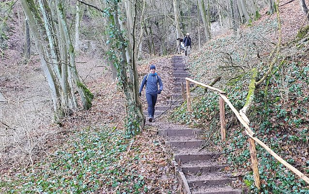 Bild: Gl&uuml;cklich sind sie dem Schlamm im Alten Stolberg entkommen: Zwei Teilnehmer des 41. S&uuml;dharz-Hunderters auf den letzten Treppenstufen vor dem Erreichen der Heimkehle (ca. Kilometer 15). 