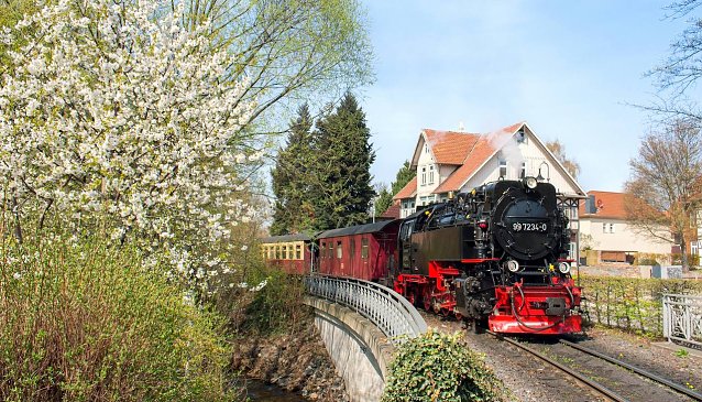 Bild: Mit Volldampf in die Saison 2022: Nach den coronabedingt erheblichen Einschr&auml;nkungen in 2021 blickt die HSB dank gelockerter Bedingungen f&uuml;r den Tourismus verhalten optimistisch auf das laufende Jahr.