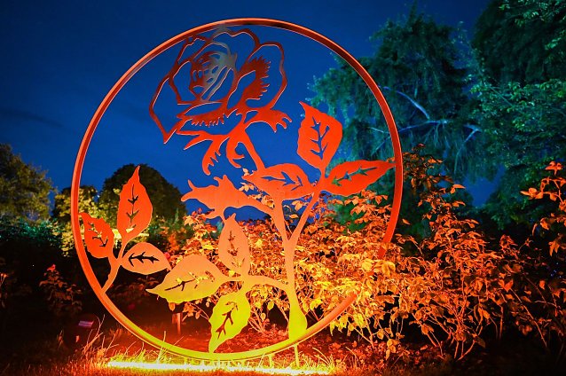 Bild: Rose trifft Kunst - die Ausstellung im Rosarium endet am 20. August