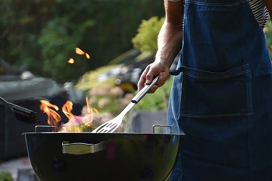 Bild: Der Deutschen Libelingshobby unter der Sparlupe