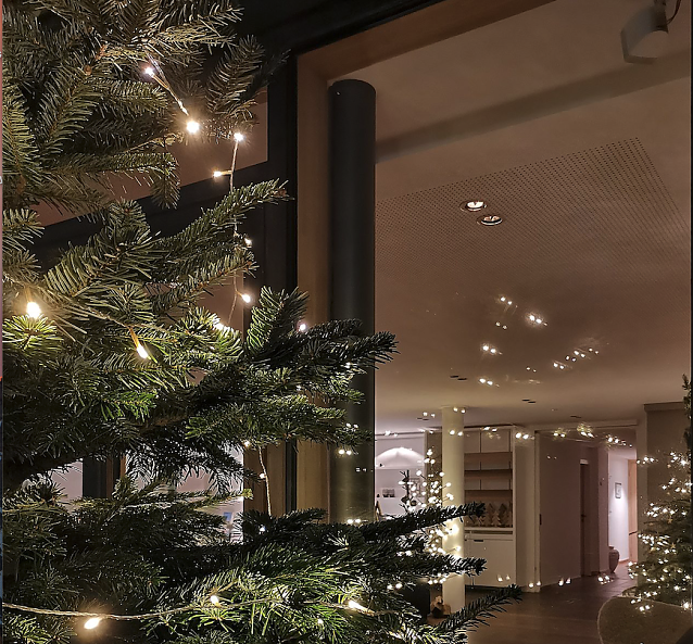 Bild: Weihnachtliche Beleuchtung stellt laut dem Bundesverband der Weihnachtsbaum- und Schnittgr&uuml;nerzeuger keinen Treiber der Energiekrise dar