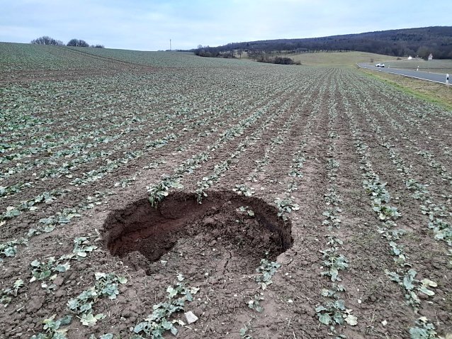 Bild: Erdfall nahe der Stra&szlig;e nach Hayn &ouml;stlich Breitungen