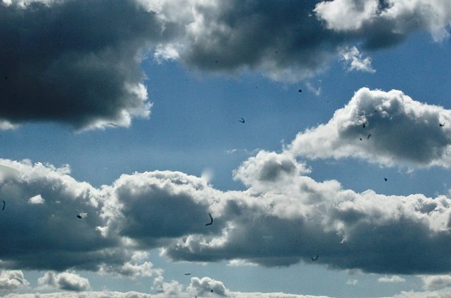 Bild: Wetter