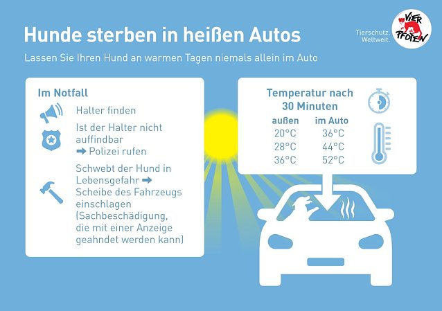Bild: Hunde sterben in hei&szlig;en Autos