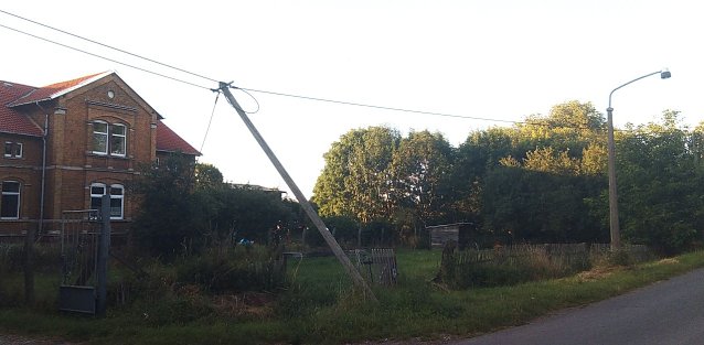 Bild: Mast ins Alter gekommen 