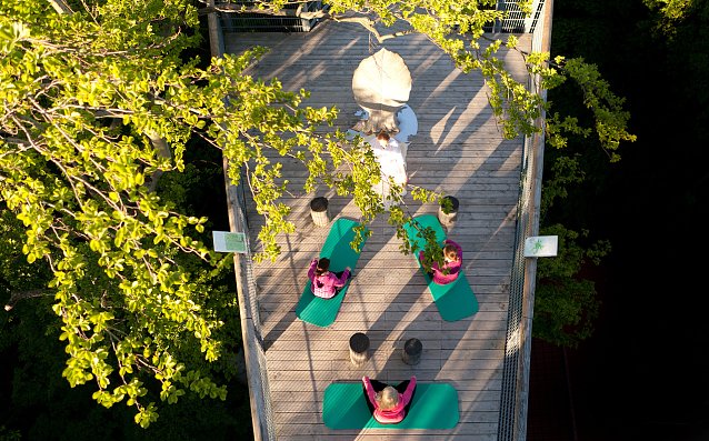 Bild: Wellness auf dem Baumkronenpfad im Nationalpark Hainich 