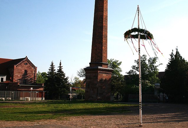 Bild: Maibaum in Kelbra