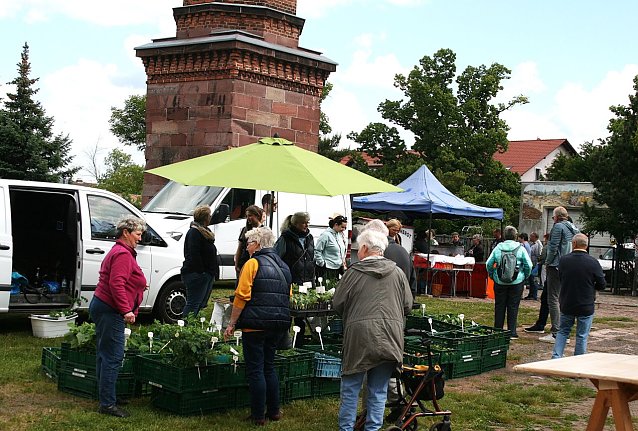 Bild: Bauernmarkt