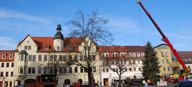 Bild: Der neue Weihnachtsbaum steht. Die 13 Meter hohe Edeltanne wurde heute Vormittag auf dem Hettstedter Markt errichtet. 