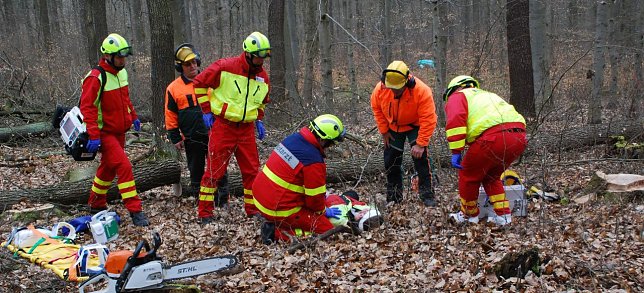 Bild: Der im Wald verungl&uuml;ckte Forstarbeiter wird von Rettungskr&auml;ften geborgen und abtransportiert.