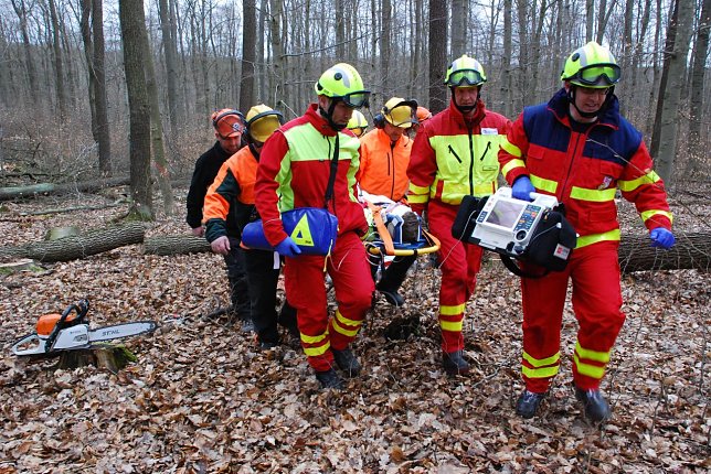 Bild: Der Verungl&uuml;ckte wurde von der  Rettungskr&auml;ften derart sicher "verpackt", dass er den Transport &uuml;ber Stock und Laub unbeschadet &uuml;berstand.