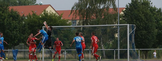Bild: Wacker versteckt sich nicht.
