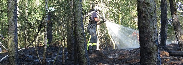 Bild: Brand im Alten Stolberg