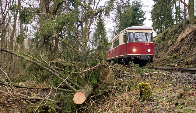 Bild: Es rollt wieder