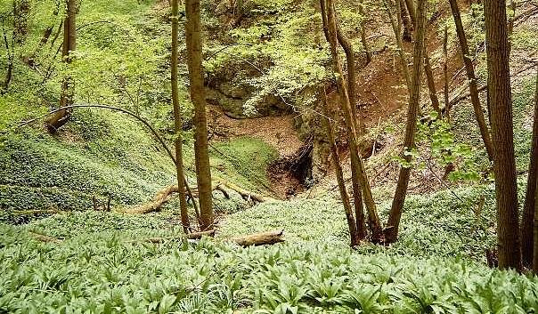 Bild: Uvala im Alten Stolberg