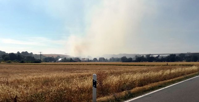 Bild: Zeitweise fra&szlig;en sich die Flammen in Richtung B&ouml;senrode