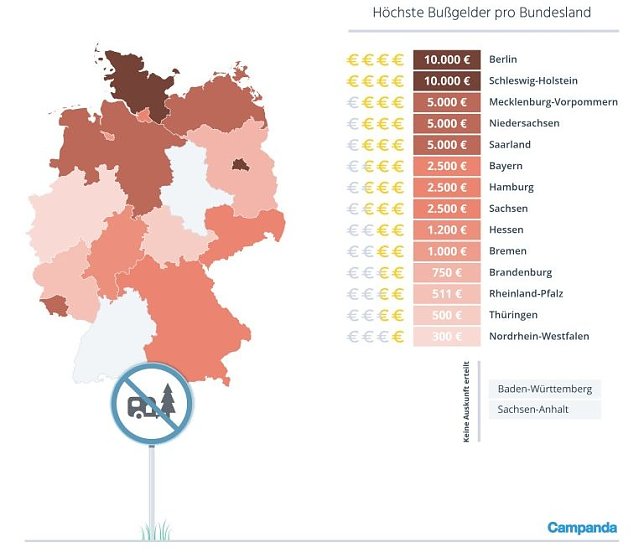 Bild: Grafik