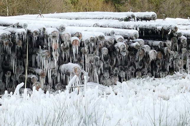 Bild: Nasslager im Harz