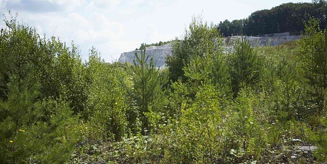 Bild: Rohstoffabbau im S&uuml;dharz