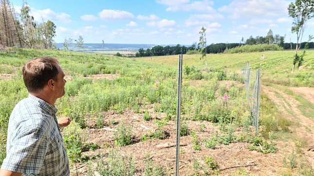 Bild: Lars-Kristian Kothe vor einer Aufforstungsfl&auml;che am Reesberg