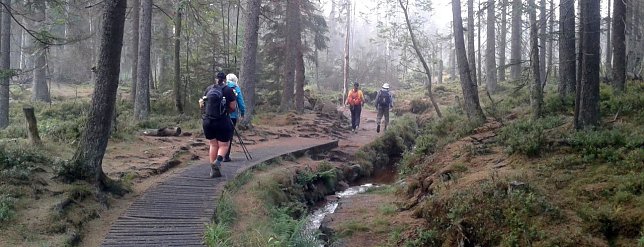 Bild: Kurz nach 7 bew&auml;ltigten die Teilnehmer des 13. Harz-Hunderters Extrem nach der ersten durchwanderten Nacht planm&auml;&szlig;ig den Abschnitt vom Torfhaus zum Brocken. (03.08.2019)