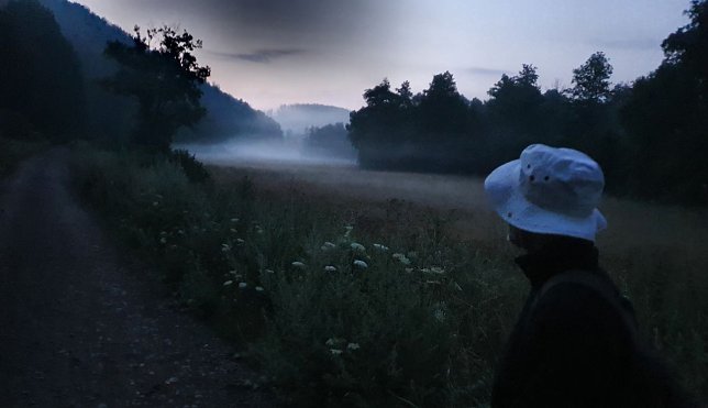 Bild: Christian Richter aus Jena bewundert den Morgennebel im Tal zwischen Wippertalsperre und Wippra nach knapp 120 Kilometern am dritten Tag des 16. Harz-Hunderters Extrem. Neun Stunden sp&auml;ter hat der Extremwanderer den Harz zum zweiten Mal in West-Ost-Richtung am St&uuml;ck durchquert.