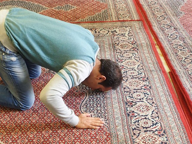 Bild: 