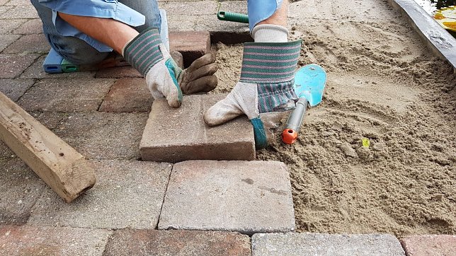 Bild: 