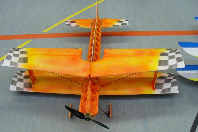 Leichtgewicht (Foto: pln)