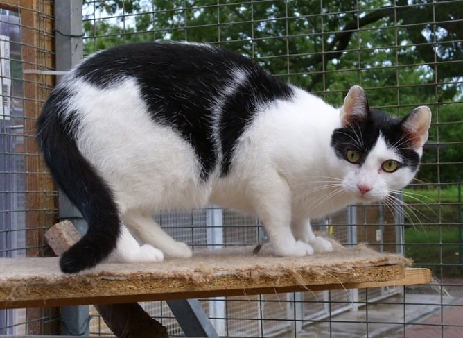 Conrad (Foto: C. Knust)