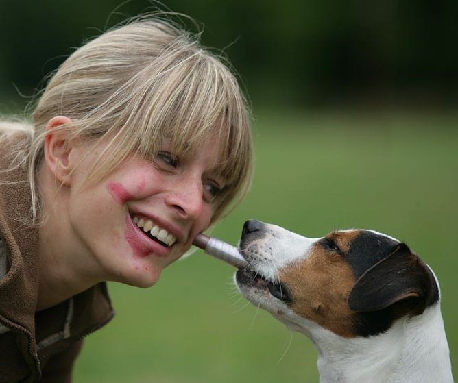 Aber bitte ohne Hund (Foto: privat)