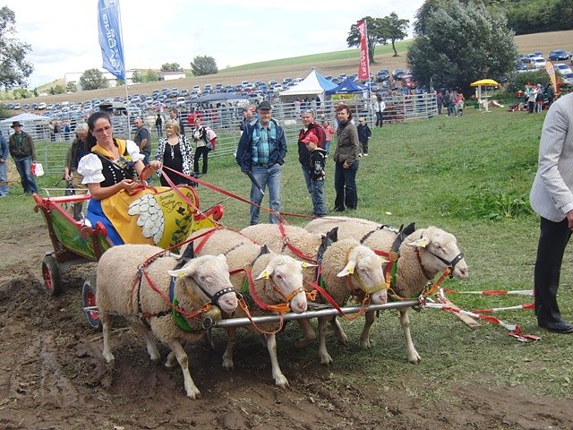 Bauernmarkt (Foto: Ilka K&uuml;hn)