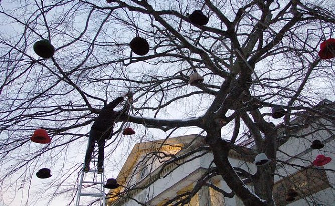 Hut am Baum (Foto: Wolfgang Kurima Rauschning)