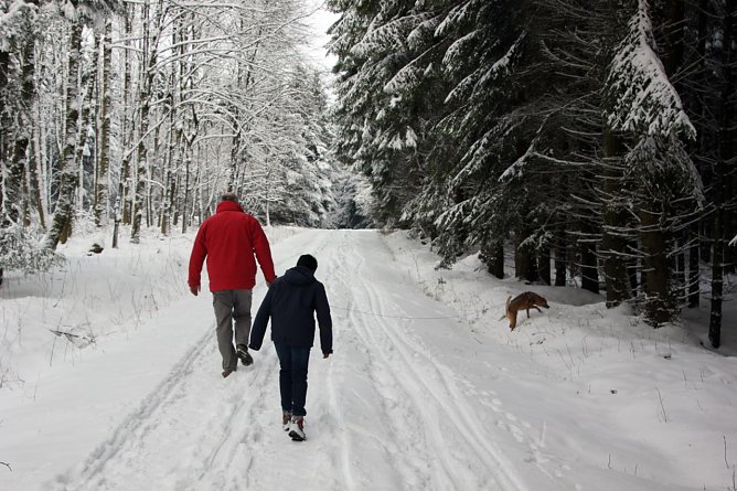 Spaziergang im Winterwald (Foto: PEFC-Kollaxo)