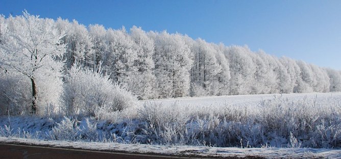 Entlang der Bundesstra&szlig;e 86 pr&auml;sentierte sich heute Mittag die Landschaft in sch&ouml;nstem Wei&szlig; unter blauem Himmel. (Foto: Jochen Miche)