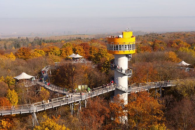 Der Baumkronenpfad im Herbst. (Foto: Re-Ko)