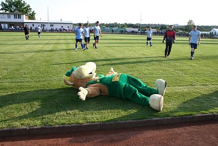 Maskottchen platt (Foto: Wiesenmarkt)
