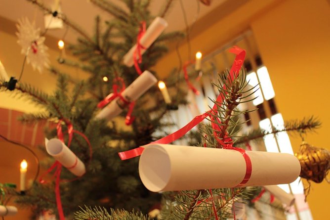 Der Wunschzettelbaum im B&uuml;rgerb&uuml;ro (Foto: Stadtverwaltung Hettstedt)