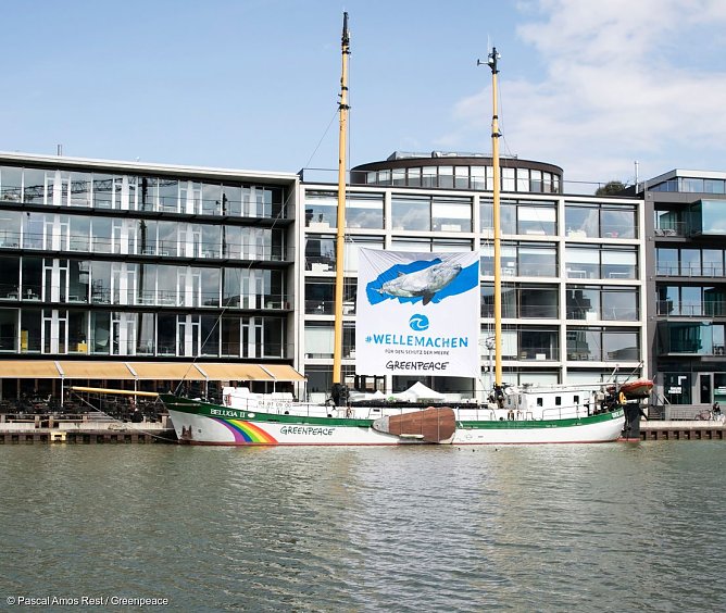 Greenpeace-Aktion (Foto: Greenpeace)