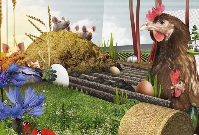 Grafik (Foto: Greenpeace)