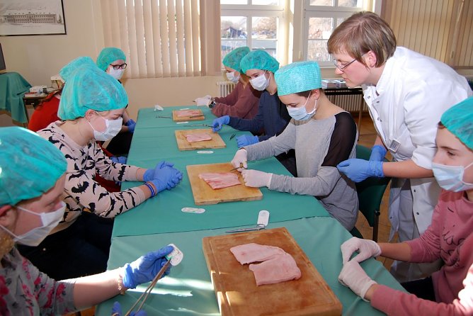So wird eine Naht gemacht (Foto: Helios/G. Lakomy)